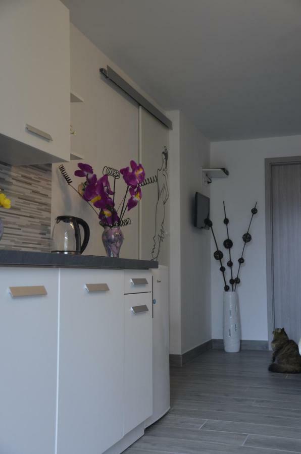 Apartments Lilly - Studio Rijeka Eksteriør billede